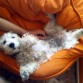 En su lugar favorito: el puf